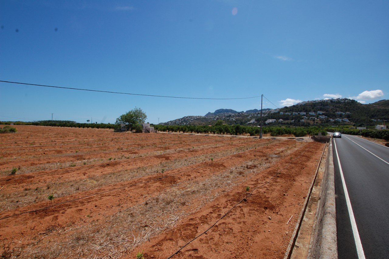 22,000 square meter rustic plot in Pego