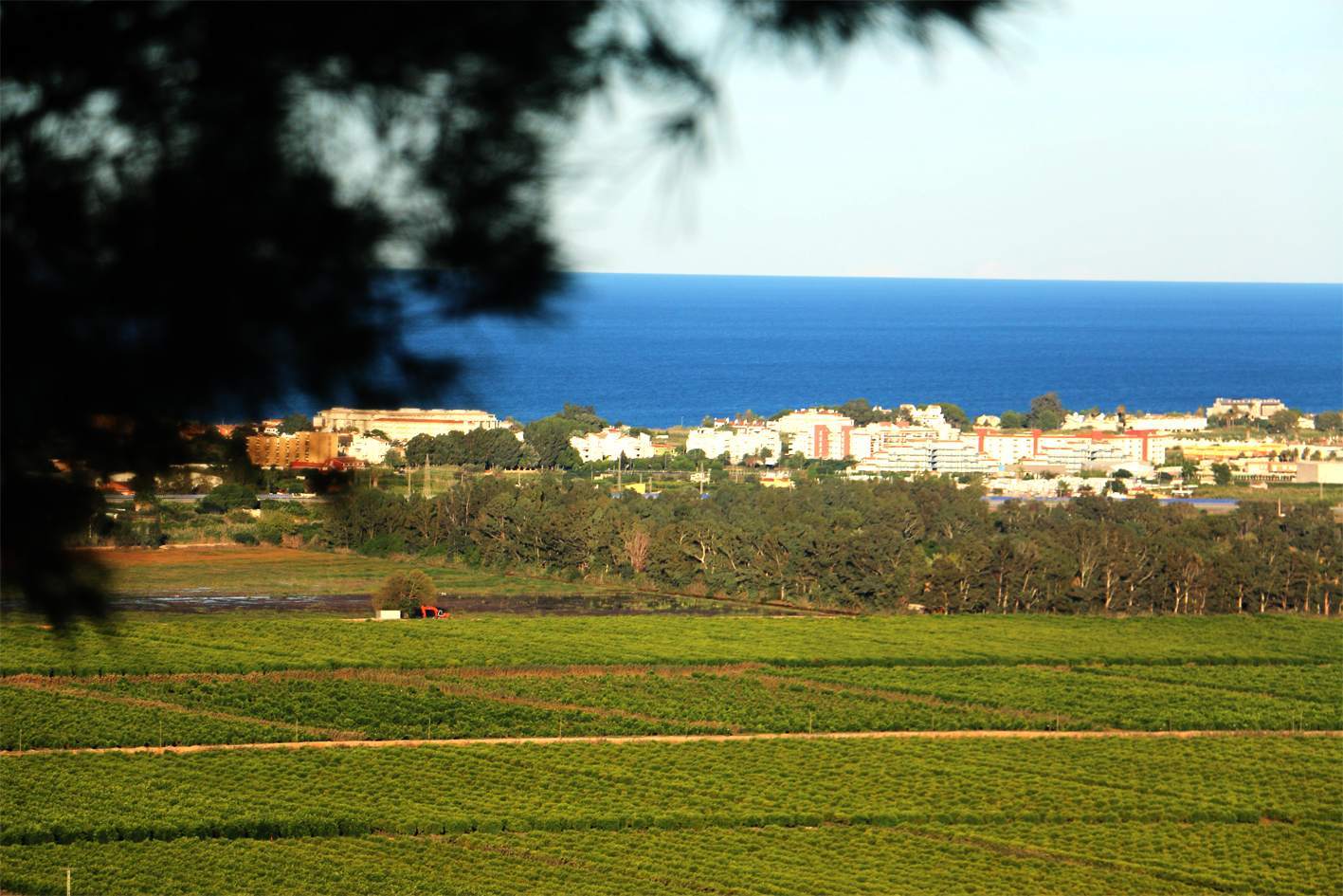 Spectacular plot in Monte Pego with fantastic views of the sea and the Marjal